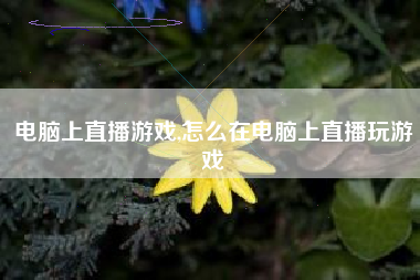 电脑上直播游戏,怎么在电脑上直播玩游戏