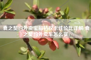 食之契约外卖宝箱特权卡性价比详解(食之契约外卖车怎么买)
