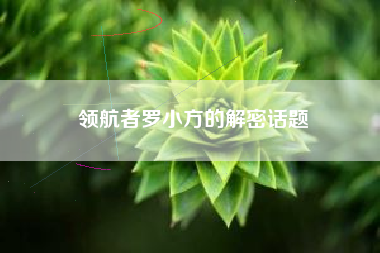 领航者罗小方的解密话题