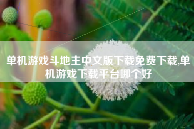 单机游戏斗地主中文版下载免费下载,单机游戏下载平台哪个好