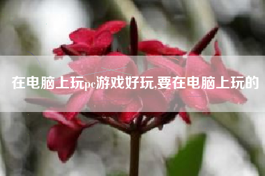 在电脑上玩pc游戏好玩,要在电脑上玩的