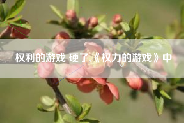 权利的游戏 硬了,《权力的游戏》中