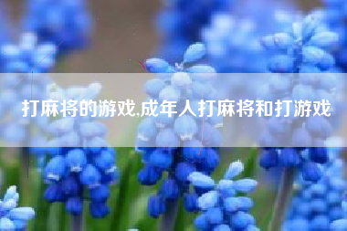 打麻将的游戏,成年人打麻将和打游戏