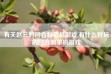 有关赵云的回合制单机游戏,有什么好玩的回合制单机游戏