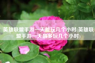 英雄联盟手游一天能玩几个小时(英雄联盟手游一天最多玩几个小时)