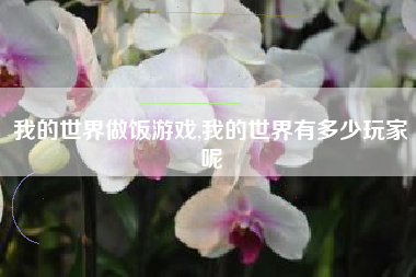 我的世界做饭游戏,我的世界有多少玩家呢