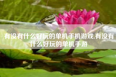 有没有什么好玩的单机手机游戏,有没有什么好玩的单机手游