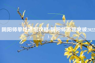 阴阳师单吃道馆攻略(阴阳师道馆突破2022)