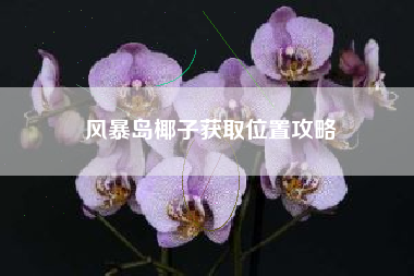 风暴岛椰子获取位置攻略