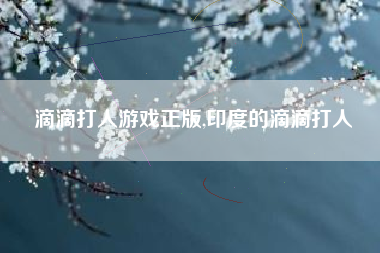 滴滴打人游戏正版,印度的滴滴打人