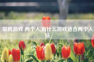 联机游戏 两个人,有什么游戏适合两个人玩