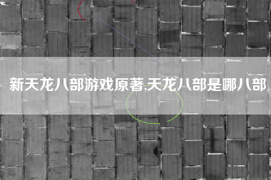 新天龙八部游戏原著,天龙八部是哪八部