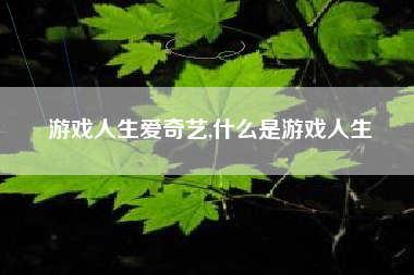 游戏人生爱奇艺,什么是游戏人生
