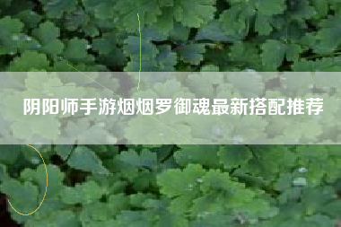 阴阳师手游烟烟罗御魂最新搭配推荐