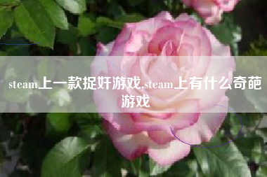 steam上一款捉奸游戏,steam上有什么奇葩游戏