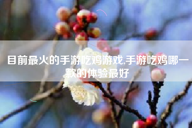 目前最火的手游吃鸡游戏,手游吃鸡哪一款的体验最好