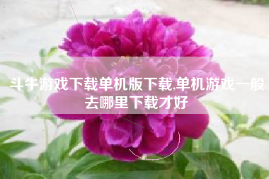 斗牛游戏下载单机版下载,单机游戏一般去哪里下载才好