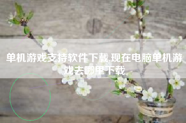 单机游戏支持软件下载,现在电脑单机游戏去哪里下载