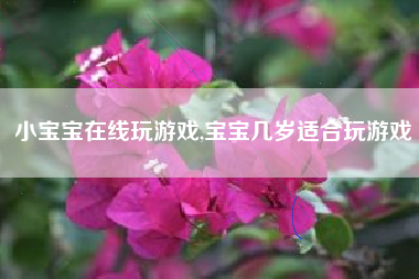 小宝宝在线玩游戏,宝宝几岁适合玩游戏