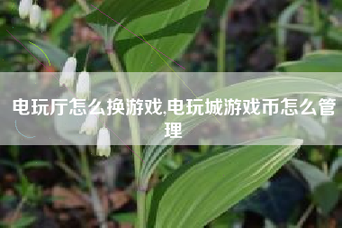电玩厅怎么换游戏,电玩城游戏币怎么管理