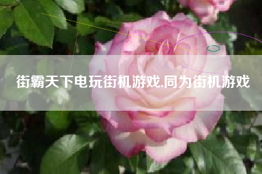 街霸天下电玩街机游戏,同为街机游戏