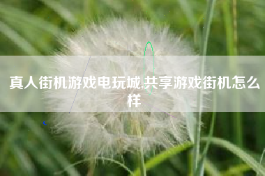 真人街机游戏电玩城,共享游戏街机怎么样