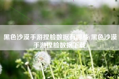 黑色沙漠手游捏脸数据有哪些(黑色沙漠手游捏脸数据下载)