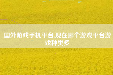 国外游戏手机平台,现在哪个游戏平台游戏种类多