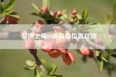 黎明之海80级商船位置在哪