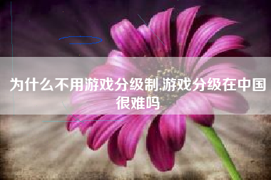 为什么不用游戏分级制,游戏分级在中国很难吗