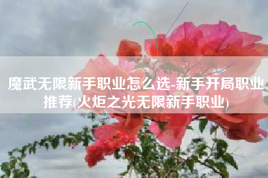 魔武无限新手职业怎么选-新手开局职业推荐(火炬之光无限新手职业)
