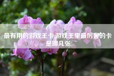最有用的游戏王卡,游戏王里最厉害的卡是哪几张