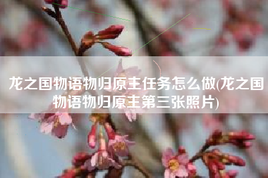 龙之国物语物归原主任务怎么做(龙之国物语物归原主第三张照片)
