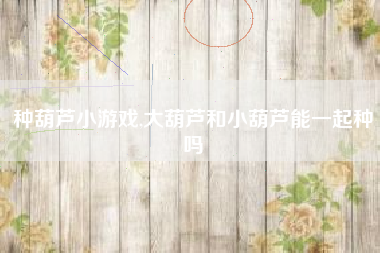 种葫芦小游戏,大葫芦和小葫芦能一起种吗