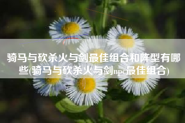 骑马与砍杀火与剑最佳组合和阵型有哪些(骑马与砍杀火与剑npc最佳组合)
