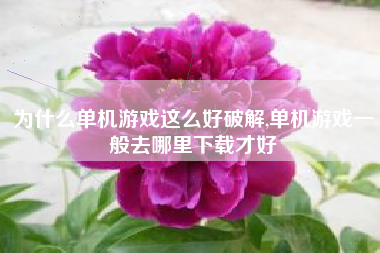 为什么单机游戏这么好破解,单机游戏一般去哪里下载才好
