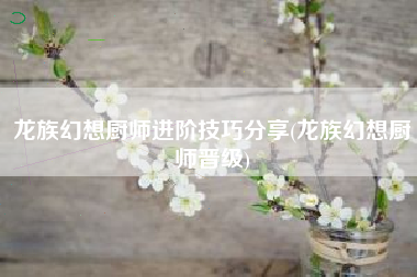 龙族幻想厨师进阶技巧分享(龙族幻想厨师晋级)