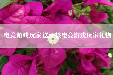 电竞游戏玩家,送硬核电竞游戏玩家礼物