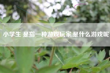 小学生 是指一种游戏玩家,是什么游戏呢