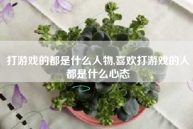 打游戏的都是什么人物,喜欢打游戏的人都是什么心态