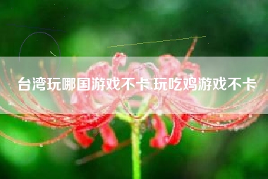 台湾玩哪国游戏不卡,玩吃鸡游戏不卡