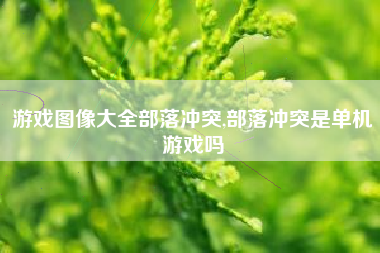 游戏图像大全部落冲突,部落冲突是单机游戏吗