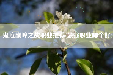 鬼泣巅峰之战职业推荐(最强职业哪个好)
