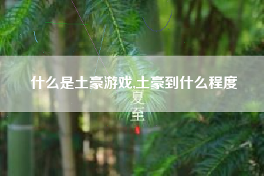 什么是土豪游戏,土豪到什么程度