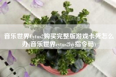 音乐世界Cytus2购买完整版游戏卡死怎么办(音乐世界cytus2lvy指令码)