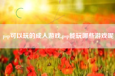 psp可以玩的成人游戏,psp能玩哪些游戏呢