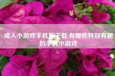 成人小游戏手机版下载,有哪些特别有趣的手机小游戏