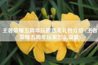 王者荣耀五周年玩趣恶龙礼包介绍 (王者荣耀五周年玩家怎么设置)