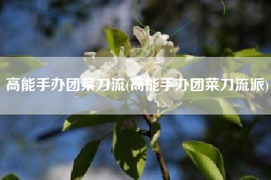 高能手办团菜刀流(高能手办团菜刀流派)