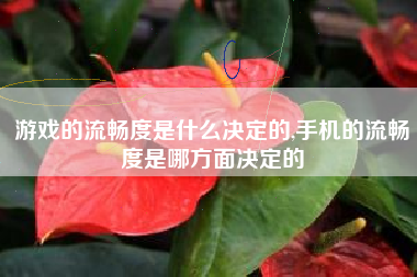 游戏的流畅度是什么决定的,手机的流畅度是哪方面决定的